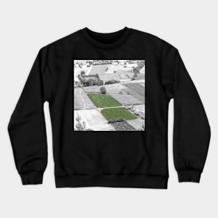 Photography - Green Crewneck Sweatshirt